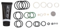 Smart Parts Ion / eXTCy O-Ring Kit
