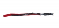 Proto Lanyard