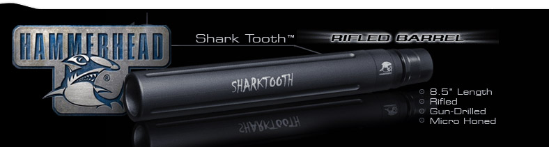 HammerHead Shark Tooth 8.5\"