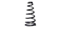 Dangerous Power Fusion Elite Valve Pin Spring